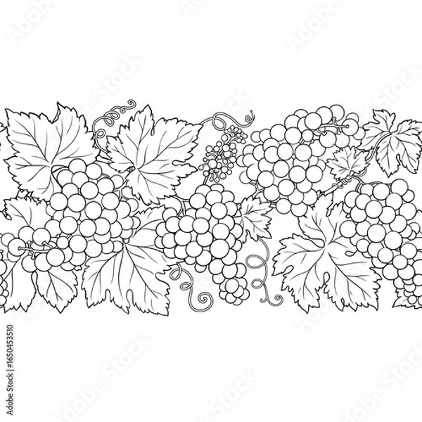 Fototapeta Grapes Branch with Flowers, Berries and Leaves Outline Horizontal Seamless Pattern. Organic natural nutritional healthy food ingredient, vegetarian diet product. Vector isolated for design or decorati