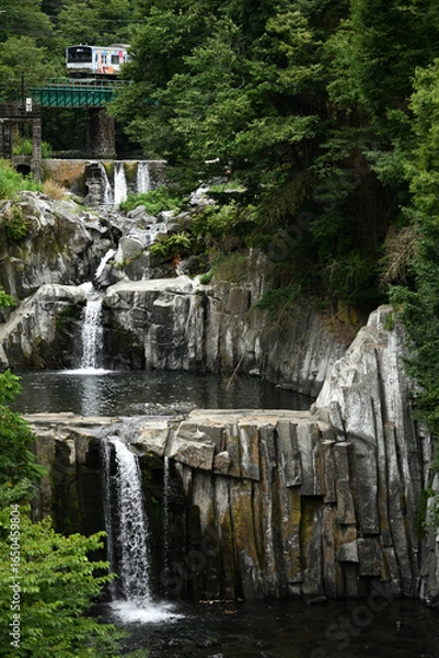 Obraz 田原の滝を通り過ぎる富士山麓電鉄の列車