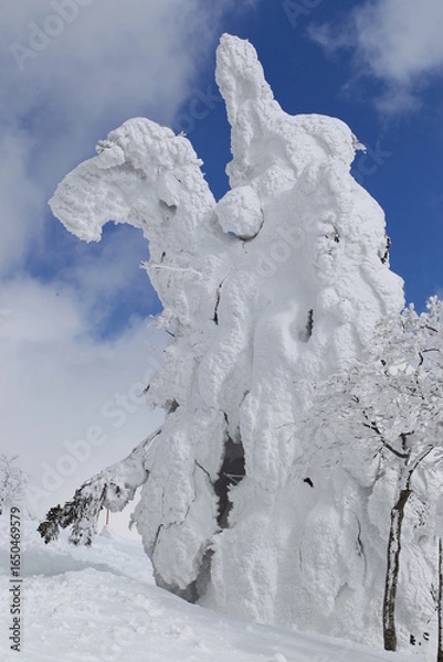 Obraz 寄り添う樹氷