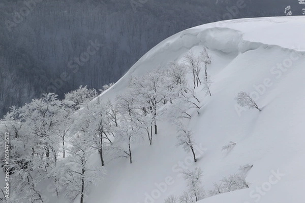 Obraz 雪に覆われた山
