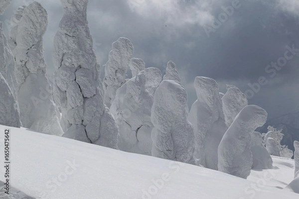 Obraz 樹氷に覆われた岩