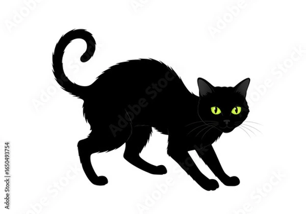 Obraz Mysterious Black Cat A Dark and Enigmatic Feline Silhouette isolated on transparent background