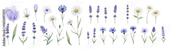 Fototapeta A vibrant collection of various flowers, showcasing delicate petals and lively colors.