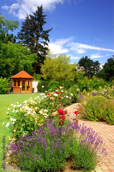 Obraz Garden with roses