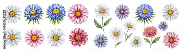 Fototapeta A vibrant arrangement of colorful flowers featuring white, blue, pink, and purple daisies.
