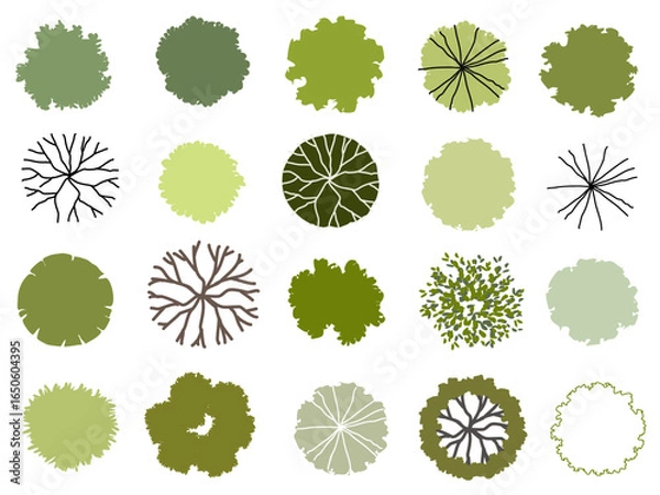 Fototapeta Vector set of Top view green tree for outdoor plan or map and architecture drawing, elements for environment and garden ,botanical elements ,Blooming flowers in spring,tropical plants element
