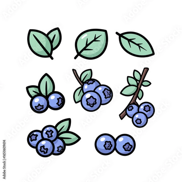Obraz Set of vector blueberry illustrations, ideal for design projects, culinary themes, and healthy eating