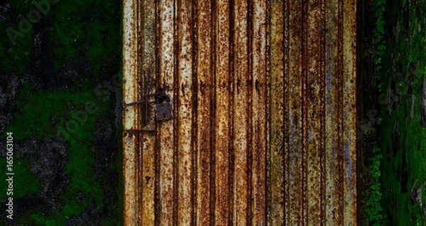 Fototapeta Survival...