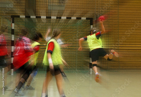 Obraz handballdynamik
