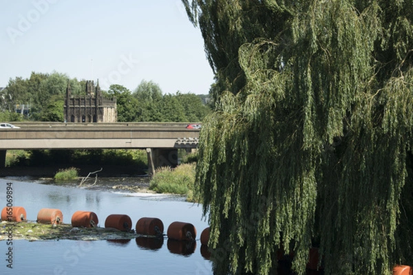 Obraz Weeping willow and church