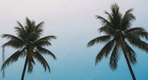 Fototapeta Two palm trees against a gradient blue sky, creating a tranquil and serene image, showcasing summer, vacation, and tropical paradise concepts