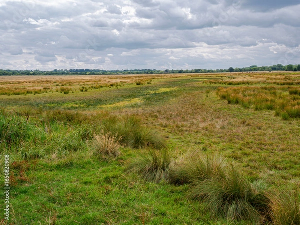 Fototapeta Bleak marshland, at Otmoor near Beckley, Oxfordshire, a nature reserve and wetland complex, managed by the Royal Society for the Protection of Birds. Stormy clouds.