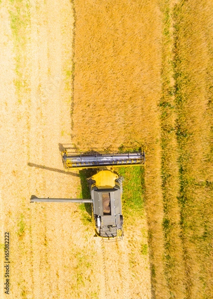 Fototapeta Aerial view of combine harvester. Harvest of rapeseed field. Industrial background on agricultural theme. Biofuel production from above. Agriculture and environment in European Union. 