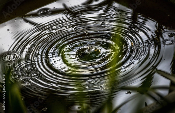 Fototapeta Concentric Morn'