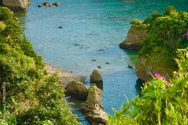 Obraz 下田のヒリゾ浜の風景