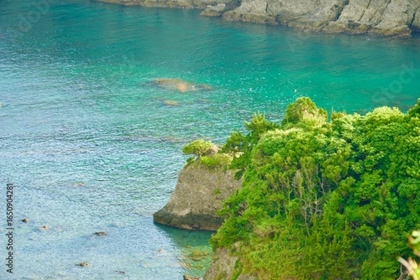 Obraz 下田のヒリゾ浜の風景