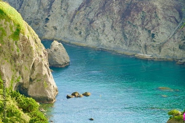 Obraz 下田のヒリゾ浜の風景