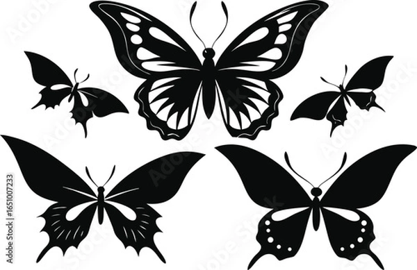Obraz Butterfly Silhouette Vector Collection