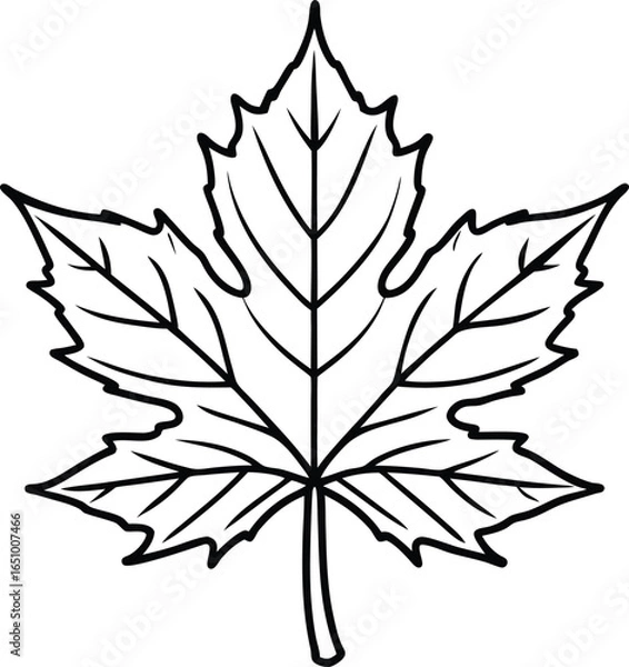 Obraz Maple Leaf Black Outline Icon vector