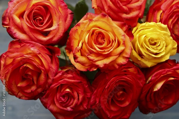 Obraz Bunch of red and yellow roses on grey background