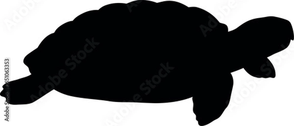 Obraz Black sea turtle silhouette