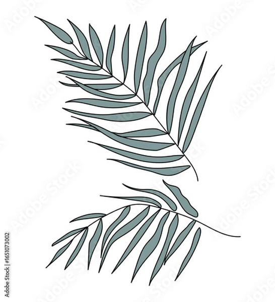 Fototapeta Two palm leaves. Tropical exotic branches with long feathery leaves. Jungle plant. Natural botanical design element. Flat vector illustration, isolated on white background