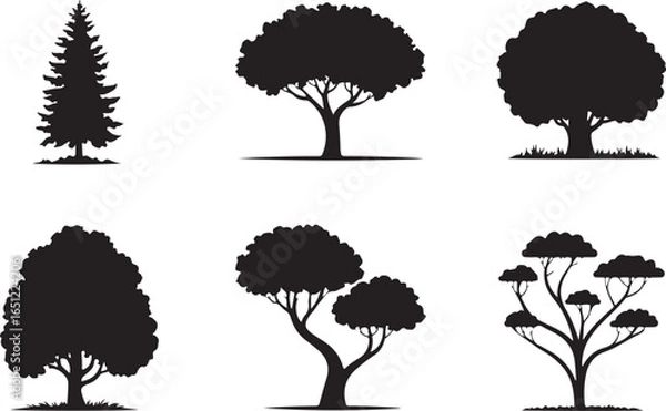 Obraz A comprehensive collection of diverse tree silhouettes, featuring various species and sizes.