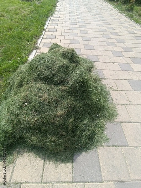 Obraz Pile of freshly cut grass on a paved walkway