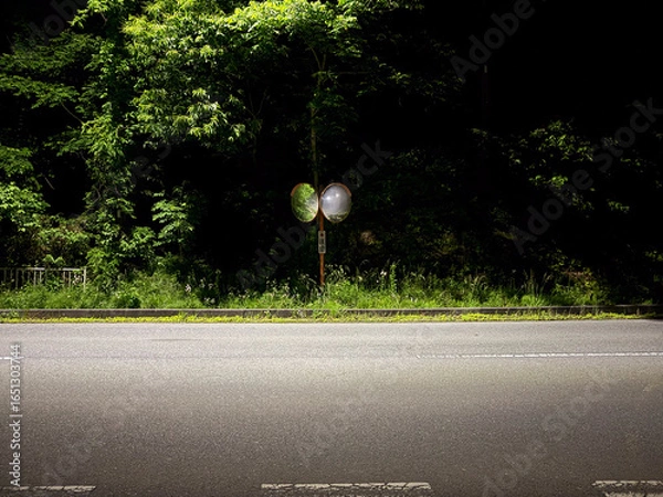 Obraz 夜道のカーブミラー