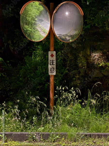 Obraz 夜道のカーブミラー