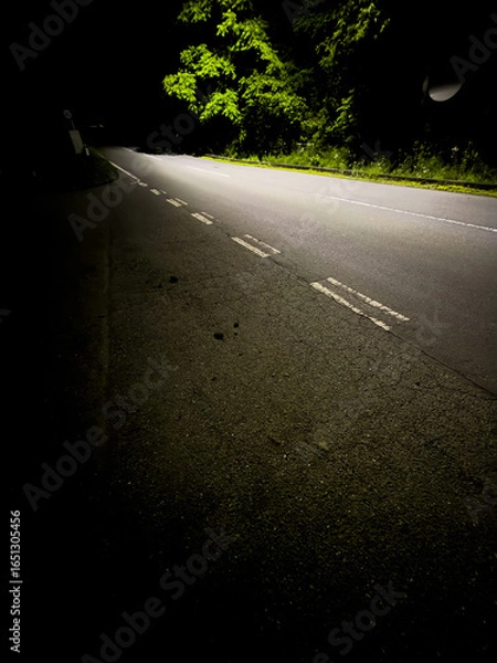 Obraz 夜道のカーブミラー