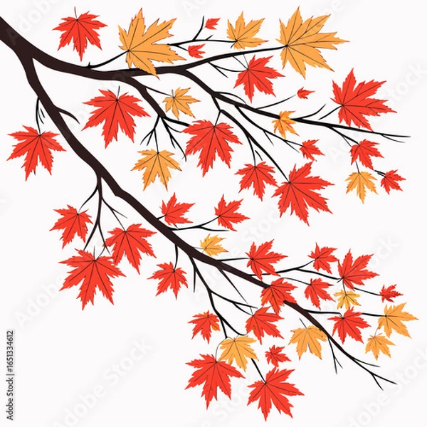 Fototapeta Stylized illustration of a tree branch with red and yellow autumn leaves on a white background