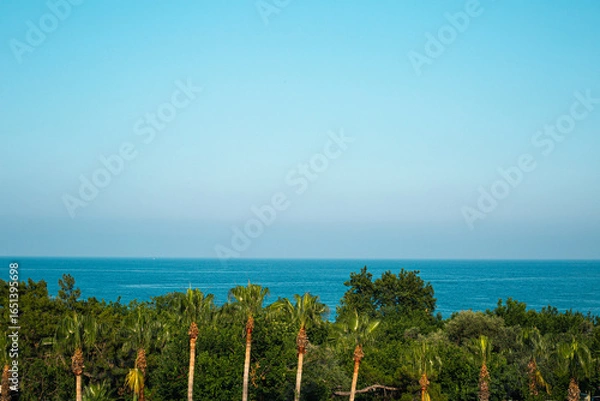 Obraz tropical beach with palm trees