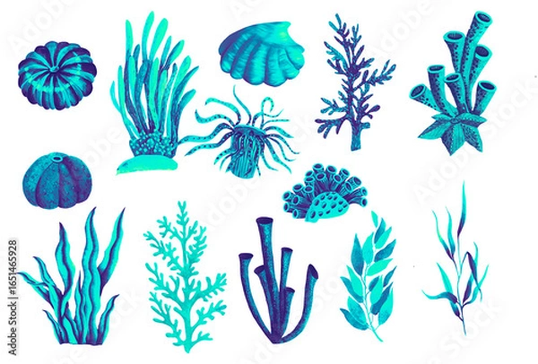 Fototapeta Seaweed, shells and corals. Color Graphic Illustration