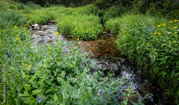 Fototapeta Mountain Stream 