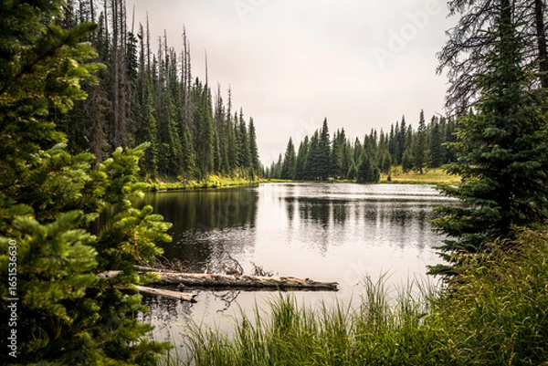 Fototapeta Tranquil Lake