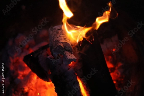 Fototapeta Burning Wood Logs with Glowing Embers
