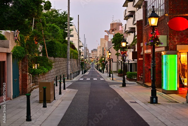 Fototapeta 夕暮れの北野異人館通り	