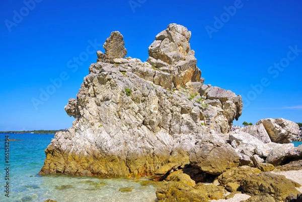 Obraz ゴリラの横顔の形をした岩