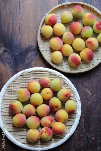 Obraz 採りたての南高梅