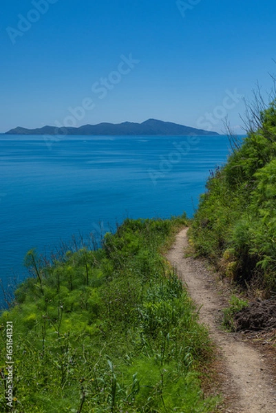 Fototapeta ニュージーランド　パエカカリキ・エスカープメント・トラックから見えるカピティ島