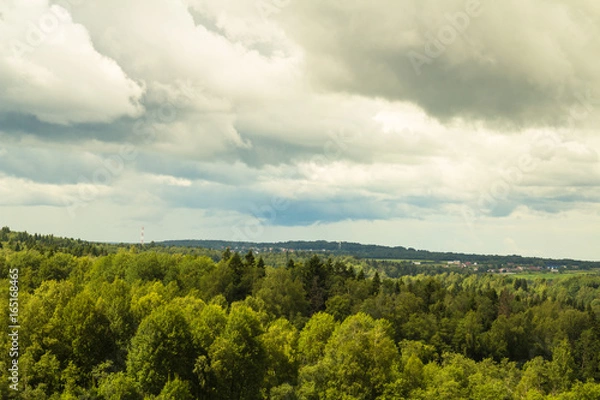 Obraz Summer landscape. Field, forest and sky. Landscape of the Russian remote places.