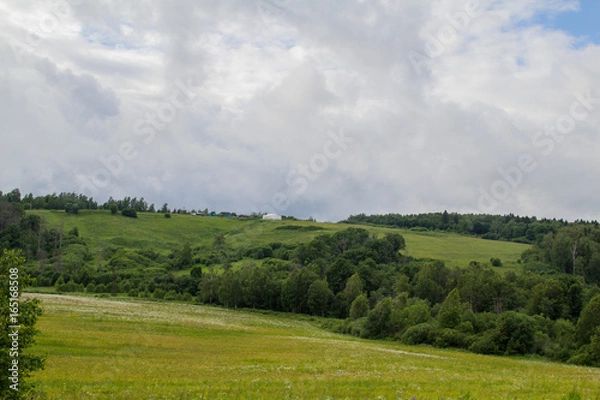 Obraz Summer landscape. Field, forest and sky. Landscape of the Russian remote places.