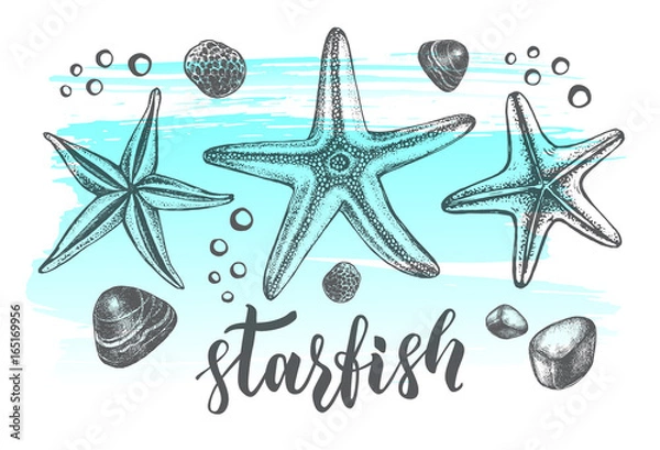 Fototapeta Background with sea starfishs. Marine Ink hand drawn elements for design. Template for cards, banners, posters with modern brush calligraphy style lettering. Vector illustration.