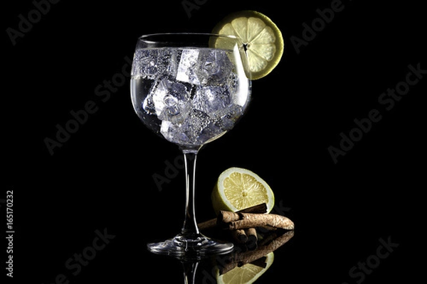 Obraz Gin tonic with lemon and cinnamon