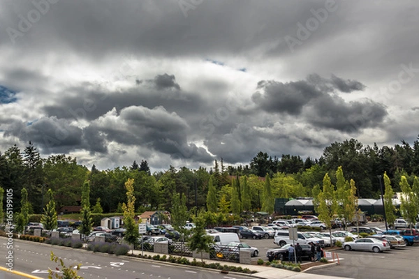 Obraz The Coming Storm