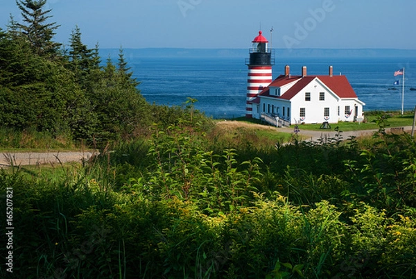 Obraz West Quoddy Head Lighthouse with Illuminated Wildflowers Nearby