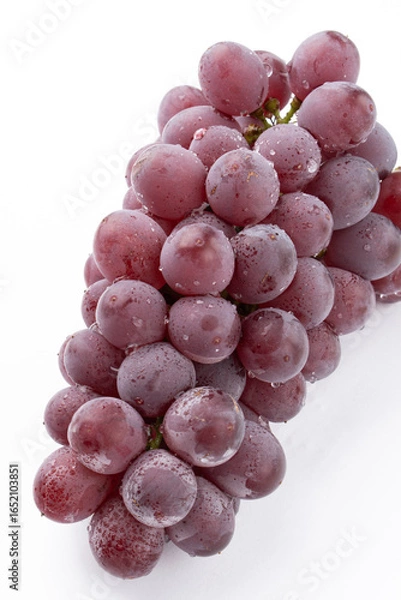 Obraz ぶどう　サニールージュ