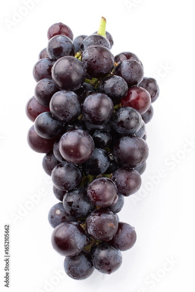 Obraz ぶどう　バッファロー