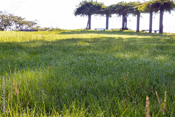 Fototapeta 朝日に照らされるベンチ